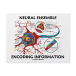 Neural Ensemble Encoding Information (Neuron) Announcement
