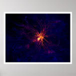 Neurone Affiches