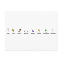 Neurotransmitter Parade