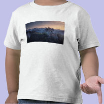Neuschwanstein Castle, built late 1800's by t-shirts