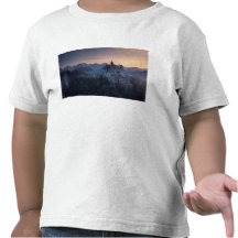 Neuschwanstein Castle, built late 1800's by Shirts
