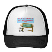 NEUTRINO quantum mechanics physics joke Mesh Hats