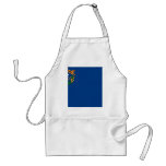Nevada Flag Aprons