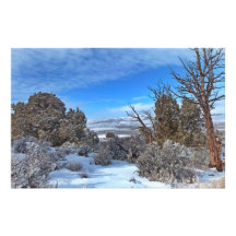 Nevada High Desert Snow Art Photo