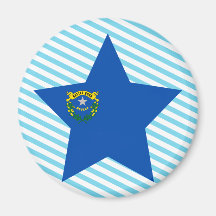 Nevada Star Fridge Magnet