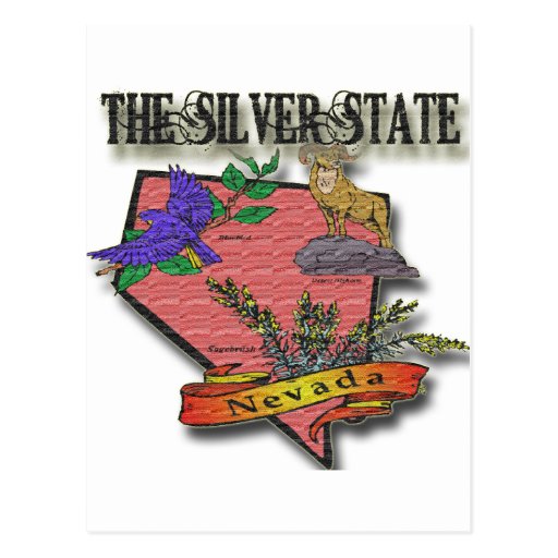 Nevada The Silver State Sagebush Bighorn Bluebird Postcards