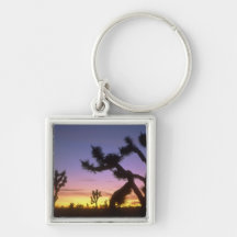 NEVADA. USA. Joshua trees Yucca brevifolia) Key Chain