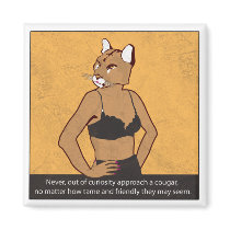 Never approach a cougar.