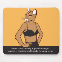 Never approach a cougar.