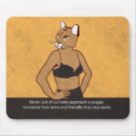 Never approach a cougar.