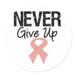 Never Give Up (Uterine Cancer) stickers