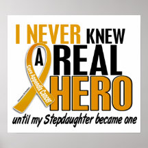 Never Knew a Hero 2 Stepdaughter Appendix Cancer Poster