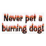 Never pet a burning dog!