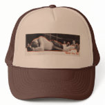 Never Say Die Boxing Hat