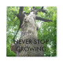 NEVER STOP GROWING REFRIGERATOR MAGNETS