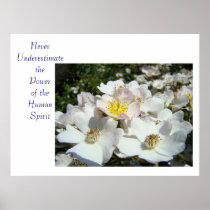 Never underestimate the Power of the Human Spirit Poster