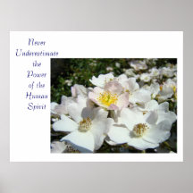Never underestimate the Power of the Human Spirit Poster