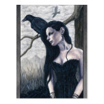 Nevermore Postcard