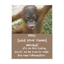 New Address Moving Announcement postcards