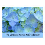 New Address postcards Announcements Blue