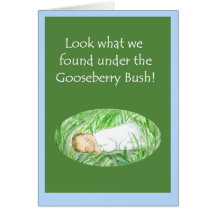 New Baby Boy Announcement Card - Gooseberry Bush