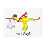 New baby boy Peeing on the stork! Postcards