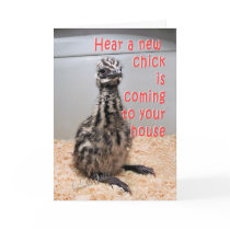 New Baby Emu BY 3-z