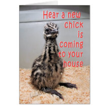 New Baby Emu BY 3-z Cards