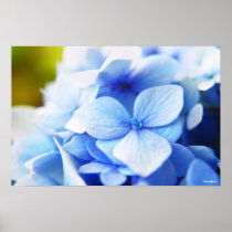 New Blues Print