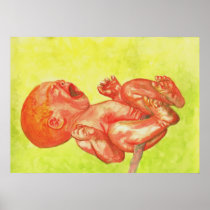 New Born Baby Wailer