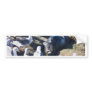 New Bprn Elephant Seal Bumper Sticker
