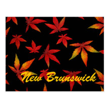New Brunswick Autumn Leaves Postcard