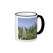New Caledonia, Grande Terre Island, Noumea. Mugs