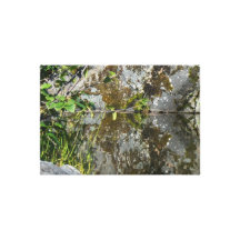 New Day Gardens Canvas Photo Print- Reflections Canvas Print