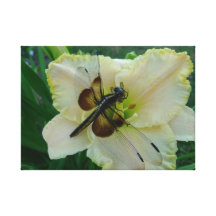 New Day Gardens Canvas Print- Dragonfly & Daylily