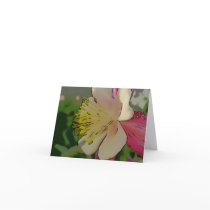 New Day Gardens Notecard Columbine W