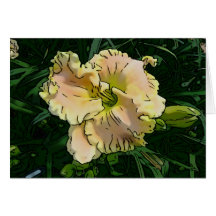 New Day Gardens Notecard Daylily 'Almost An Angel'