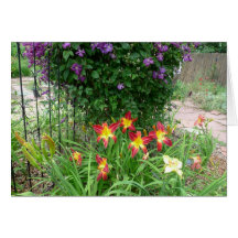 New Day Gardens Notecard-Daylily 'Ruby Spider' U