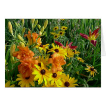 New Day Gardens Notecard- Daylily 'Tiered Bronze'