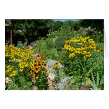 New Day Gardens Notecard- Denver Garden