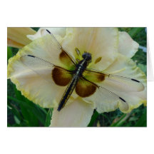 New Day Gardens Notecard-Dragonfly & Daylily
