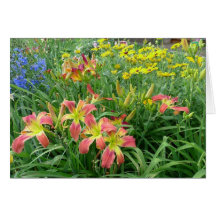 New Day Gardens Notecard- NDG Display Gardens