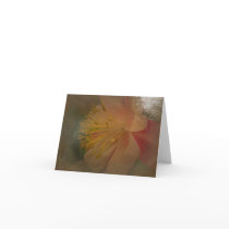 New Day Gardens Notecards- Red Columbine close A
