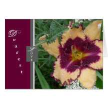 New Day Gardens Valentine- More Than Daylilies Cards