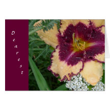 New Day Gardens Valentine- More Than Daylilies Greeting Card