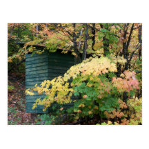 New England Autumn 065 Postcards