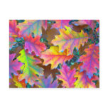 New England Autumn Post Card
