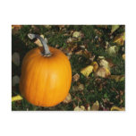 New England Autumn Post Cards