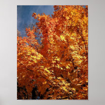 New England Autumn Splendour Posters