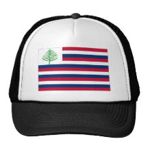 New England Naval Ensign Mesh Hat